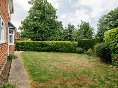 Picture 29